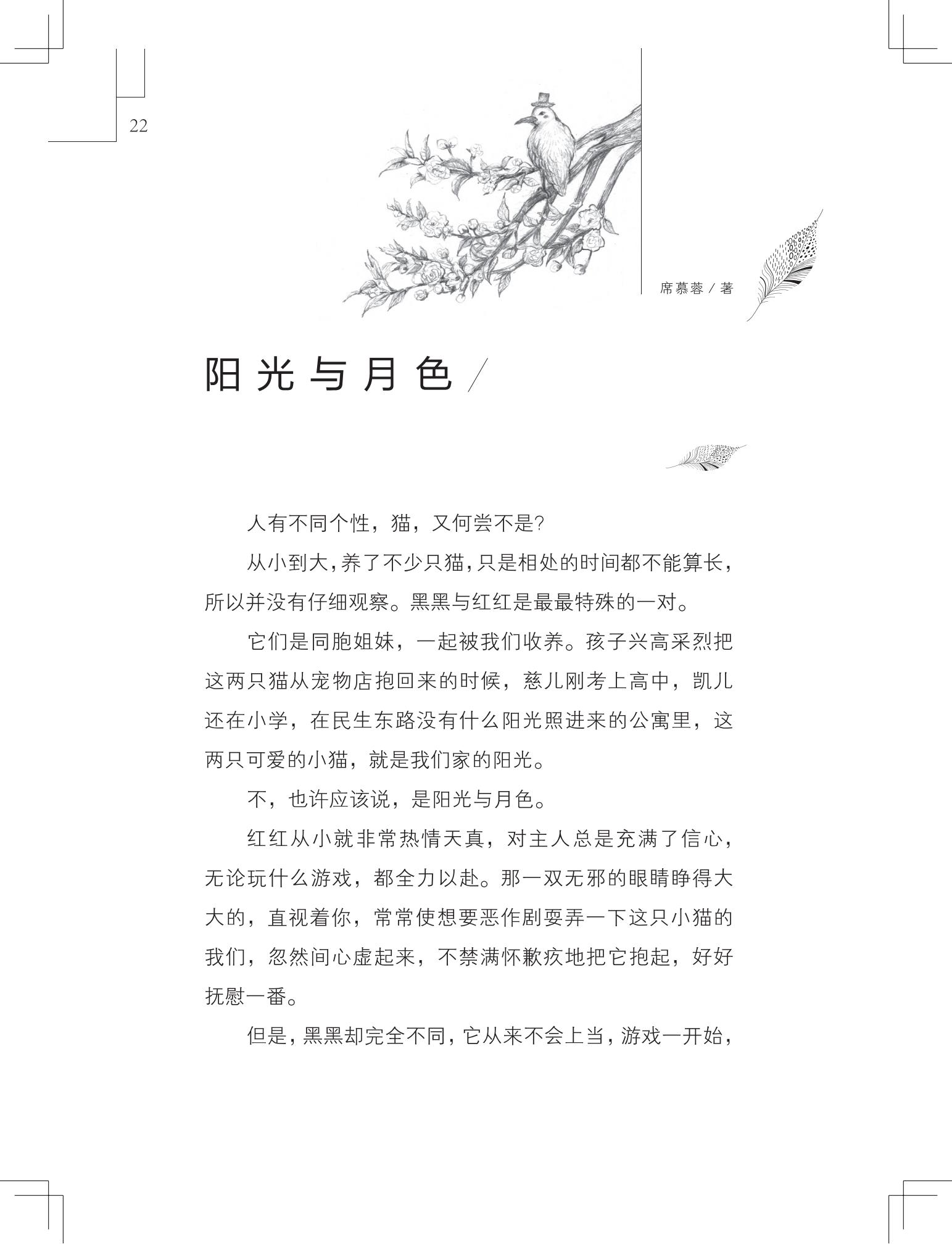 《做在大胡子里的鸟窝 》